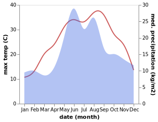 temperature and rainfall during the year in Bogatovka