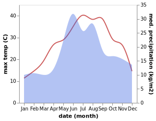 temperature and rainfall during the year in Chapayevka