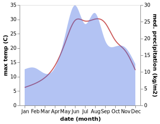 temperature and rainfall during the year in Ridne