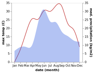 temperature and rainfall during the year in Buki