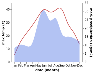 temperature and rainfall during the year in Novotimofeyevka