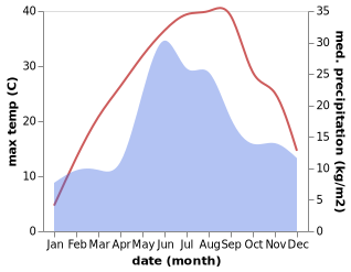 temperature and rainfall during the year in Novosavyts'ke