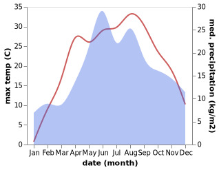 temperature and rainfall during the year in Velikaya Berezovitsa