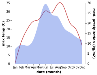 temperature and rainfall during the year in Brailiv