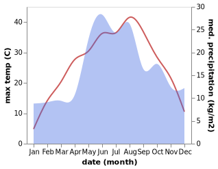 temperature and rainfall during the year in Chernigovka