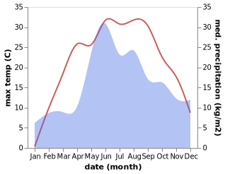 temperature and rainfall during the year in Chopovychi