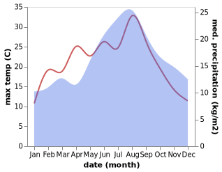 temperature and rainfall during the year in Castle Acre