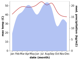 temperature and rainfall during the year in Al Mahjal