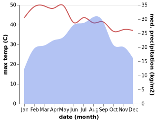 temperature and rainfall during the year in Ad Dimnah