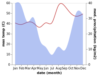 temperature and rainfall during the year in Livingstone