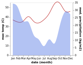 temperature and rainfall during the year in Norton