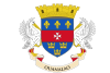 Saint Barthélemy Flag Icon