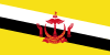 Brunei Flag Icon