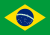 Brazil Flag Icon