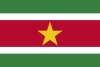 Suriname Flag Icon